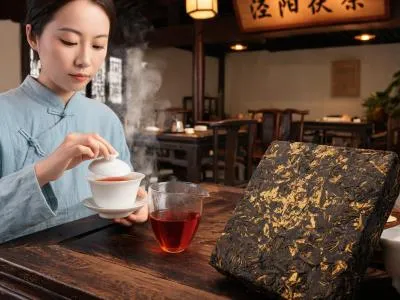 在西安喝一杯泾阳茯茶：丝路上的”黑金”，茶馆里坐一下午的功夫